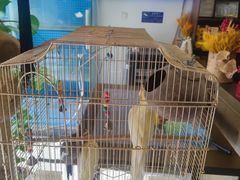 -潇湘·永州会馆(百子湾店)