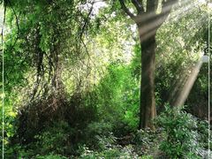 -云溪植物园