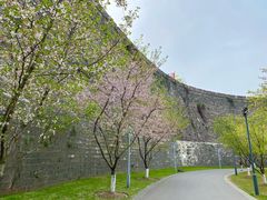 -南京城墙景区