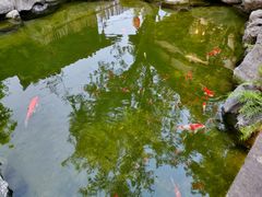 -驿舍·民國老营房院子私房菜(科学会堂店)