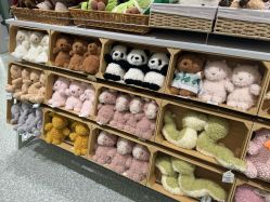 -国际蓝孩(悠方店)