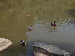 -水濂山森林公园
