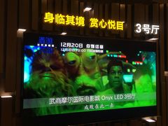-武商摩尔影城(国广IMAX激光店)