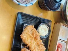 -胜博殿日式炸猪排(西红门店)