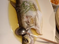 -席家花园(巨鹿花园店)