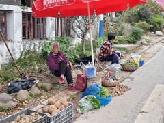 -石塘人家