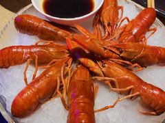 精品冰镇蓝龙虾-红盔甲·小龙虾(定西路店)