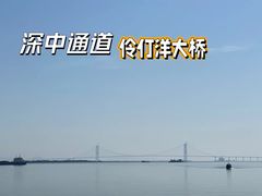 -大湾区中央湿地公园