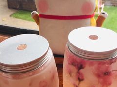 樱花苏打-柴犬高等学院·狗咖·柴犬售卖·宠物训练