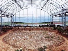 -海上花岛玫瑰园采摘