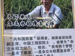 -胖东瓜·浏阳菜馆(火车站店)