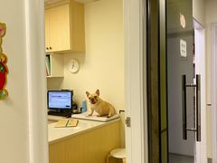 -爱诺耐芙动物医院(万博店)