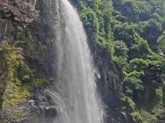 -九鲤湖风景区