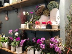 -BOBLOOM花店(宝龙旭辉广场店)
