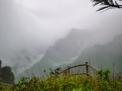 -牛背梁国家森林公园