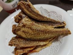 -熠盛粤味·顺德桑拿鸡(永康路店)