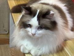 -白兔子密室(长寿路店)