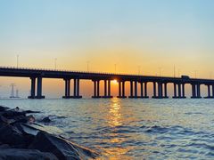 -宝安西湾红树林湿地公园