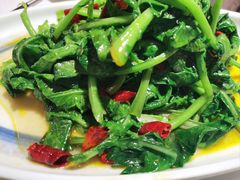 青油菜炝炒-大融厨·鸡毛店·川菜(果壳里东安湖店)