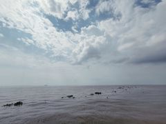 -巢湖姥山岛