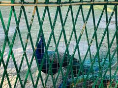 -苏州太湖西山岛开心农场