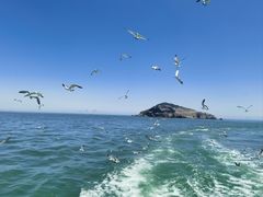 -海驴岛(荣成市)