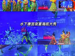 -正佳极地海洋世界