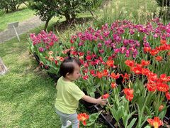 -上海鲜花港