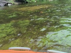 -对天河漂流