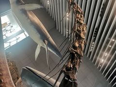 -自然博物馆新馆2楼餐厅