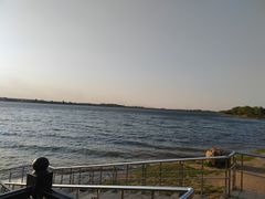 -丁香湖公园