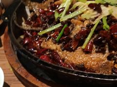 -老板恋上鱼(印象城店)