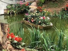 -人民公园(罗湖区)