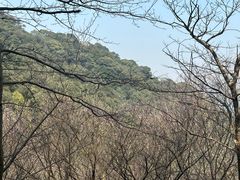 -北仑森林植物园