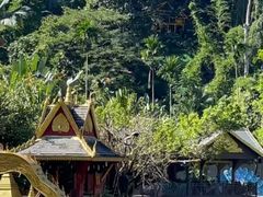 -西双版纳原始森林公园