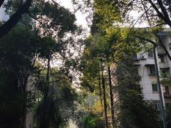 -西南交通大学(九里校区)