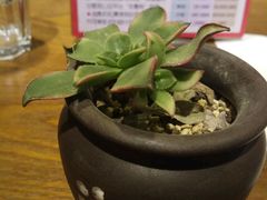 -OKOOKO澳客餐吧(乐天百货店)