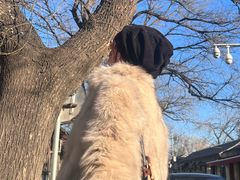 -中国中医科学院针灸医院