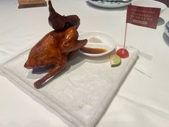 -侨美食家·41年地道粤菜(珠江新城店)