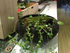 -扫雪煮茶(西村店)
