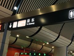 -大望路(地铁站)
