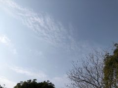 -渤公岛生态公园