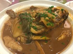 红烧河豚鱼-大方圆酒楼(西门大街店)