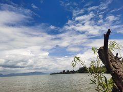 -捞渔河湿地公园