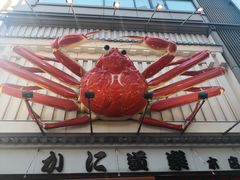 -蟹道乐(道顿堀本店)