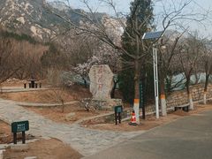 -北京凤凰岭
