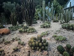-深圳仙湖植物园