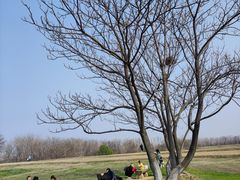 -盘龙城国家考古遗址公园