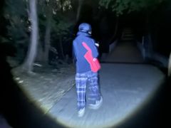 -紫金山山顶公园
