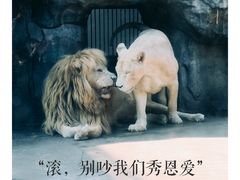 -南昌动物园